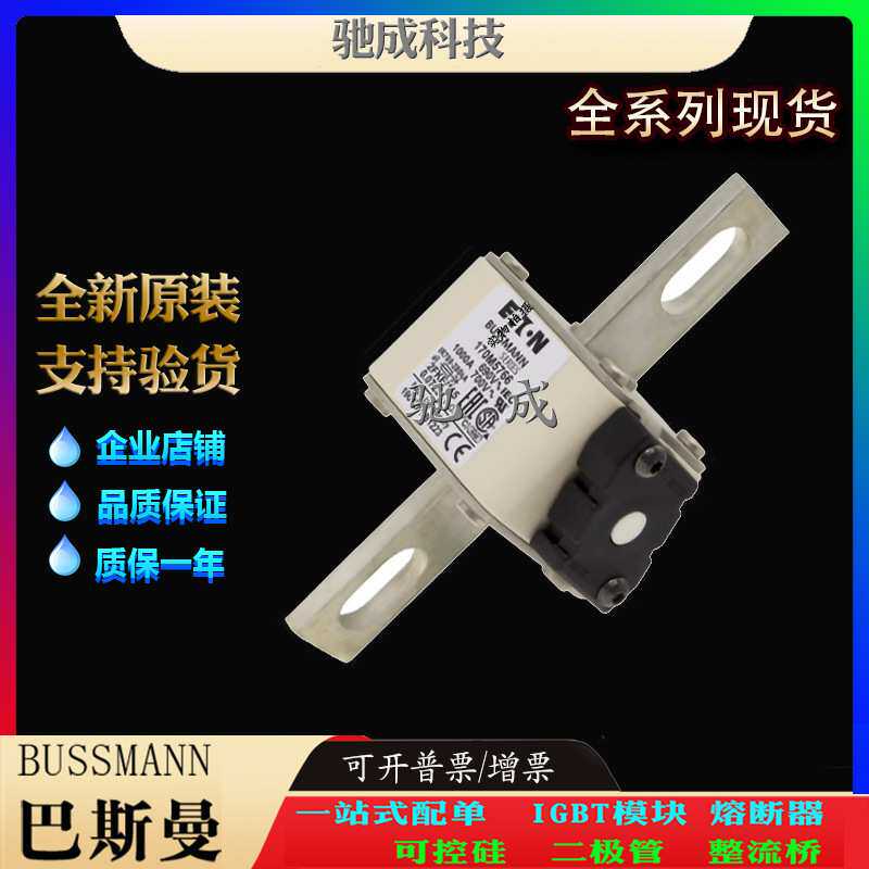 巴斯曼170M5766 170M5767 170M5768 厂家直供销售价优 方体熔断器图片