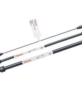 Thermo赛默飞60107-206 HyperSep Retain PEP纯化柱