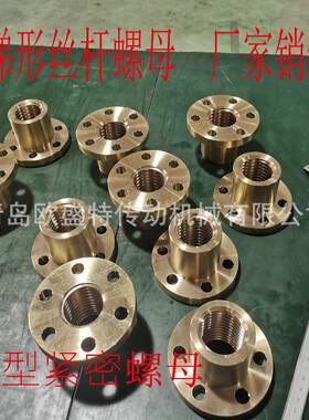 青岛T梯形螺纹丝杆多头大导程45#螺杆异形圆法兰铜螺母T40*14