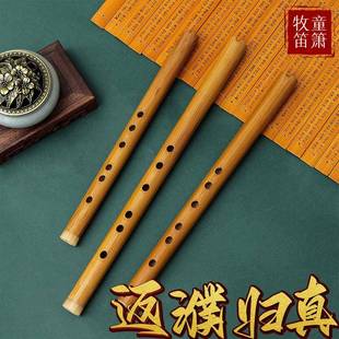 短萧入门洞箫便携苦竹高级迷你小笛子古风六F调初学萧乐器零基础