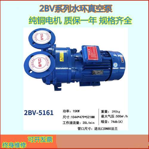 供应2BV型水环式真空泵 液环式真空泵高真空度电动真空泵 南京