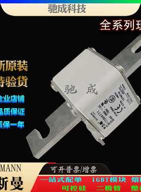 巴斯曼170M4768 170M4769 170M4770 大量现货销售价优 原装熔断器