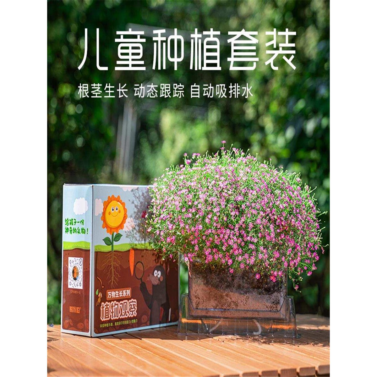 儿童种植小盆栽办公室植物观察生长套餐学生科学实验趣味迷你盲盒