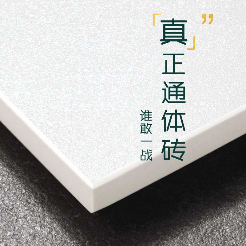 梵内 意大利哑光通体纯白色地砖 晶洞柔光客厅卫生间亮光厨房瓷砖