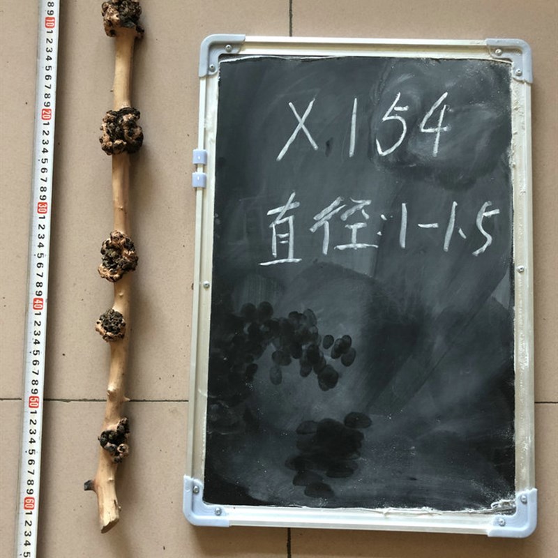 云南黑果木鸟笼站杆鸟站棍 把玩棍木瘤天然树瘤原生态毛料半成品