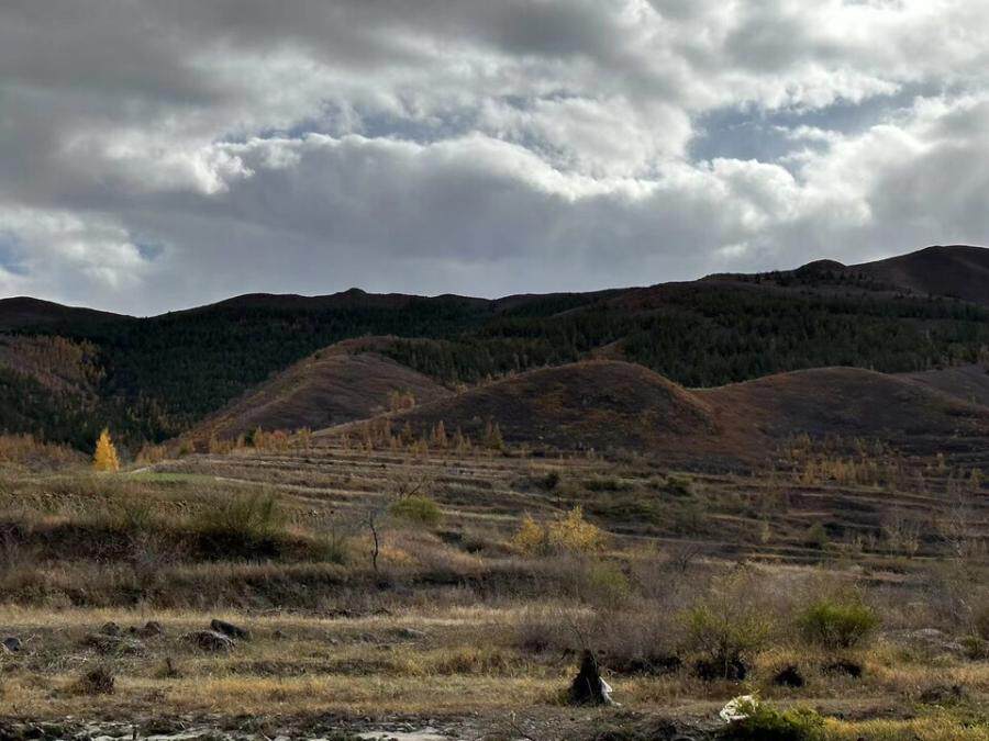 内蒙古自治区赤峰市松山区大夫营子乡曹家沟村、老头沟林权