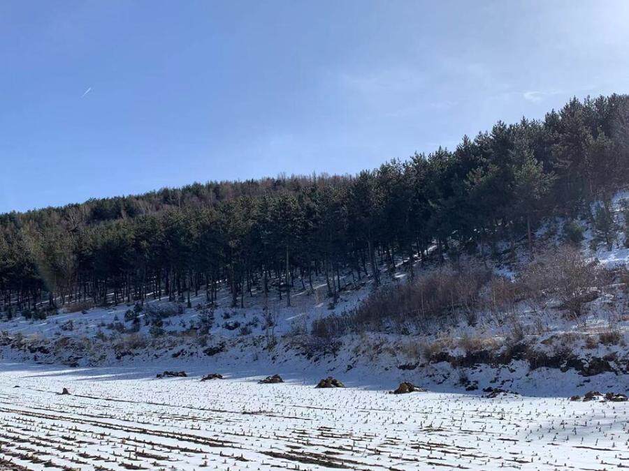 内蒙古自治区赤峰市松山区老府镇西山根村林权