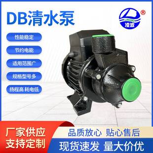 1DB-45牌旋涡式家用、工业配套清水泵550W小流量45米高扬程