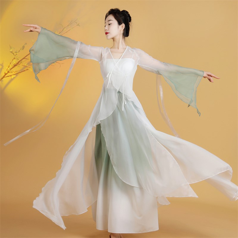 古典舞蹈服装女仙气飘逸中国风纱衣练功服古风演出服2024新款成人