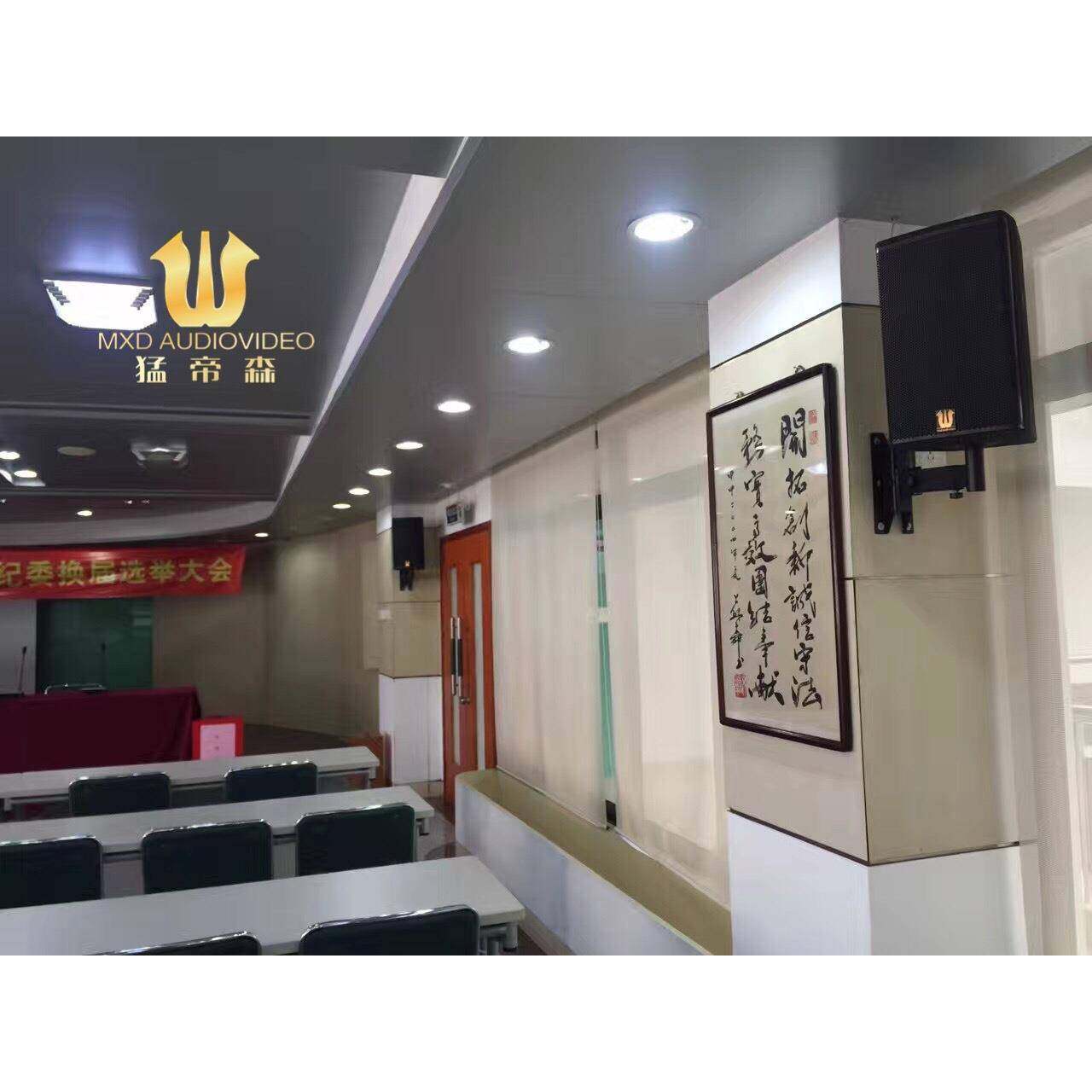 8寸会议室线阵音箱大型会议线阵音响多功能会议室音响设备