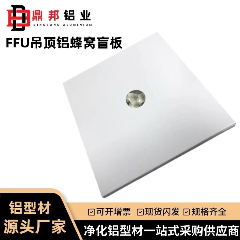 FFU盲板洁净车间彩钢板夹芯铝蜂窝板吊顶防火保温隔热盲板配件