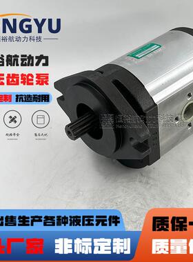 罗茨液压泵RONZIO齿轮泵03ZBG90B347DN03ZBG50L348D03ZAG30Q064