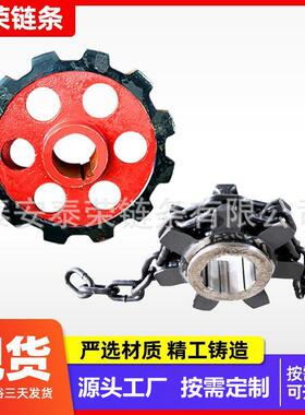 提升机链轮输送机提升机工业链轮NE50NE100斗式提升机铸钢链轮