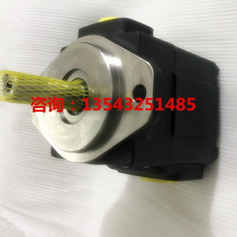 01R0C08//310丹/01000油泵67/T-603叶片泵/122/B1-尼逊0014-00/0