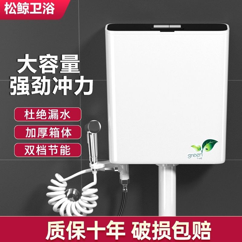 德国进口卫生间家用厕所马桶蹲便器冲水箱配件套装大冲力加厚免打