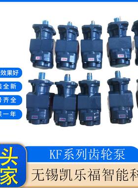 输油泵KF50RF7克拉克齿轮泵滤油机油泵