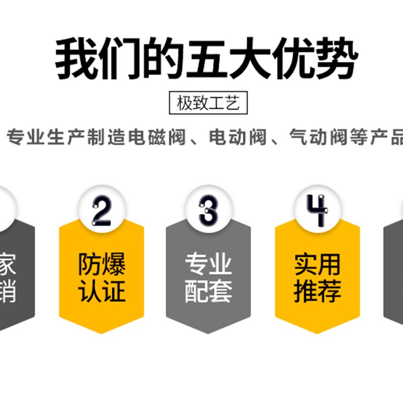 蒸汽耐高温电磁控制阀高压304不锈钢4分6分1寸2寸 AC220V DC24V