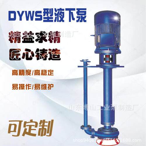 DYWS型级多用液下污水泵造纸厂化工业炼油排水泥块流体自吸泵