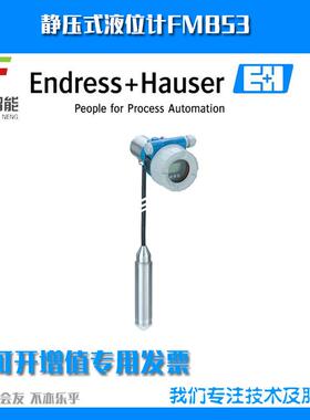 静压式液位计FMB53-AA21JD1HGA15BЗA+AAPОL=30M