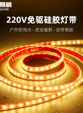 220v免驱无变压器自粘贴片led灯带家用氛围户外超亮防水灯条