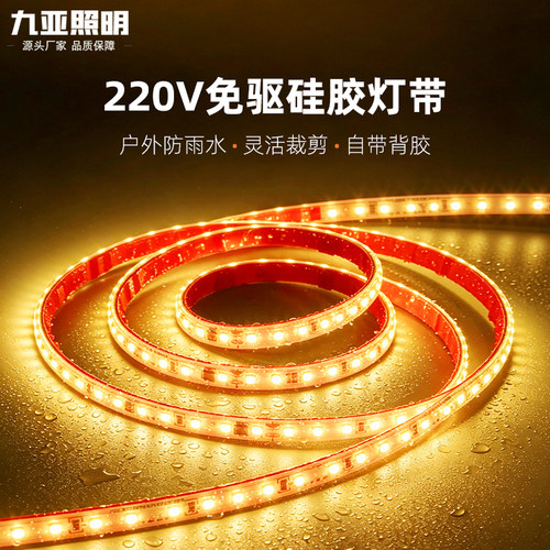 220v免驱无变压器自粘贴片led灯带家用氛围户外超亮防水灯条