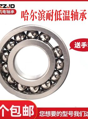 2101206  06零209度196哈尔滨耐低温39121下26  2轴承60621 21