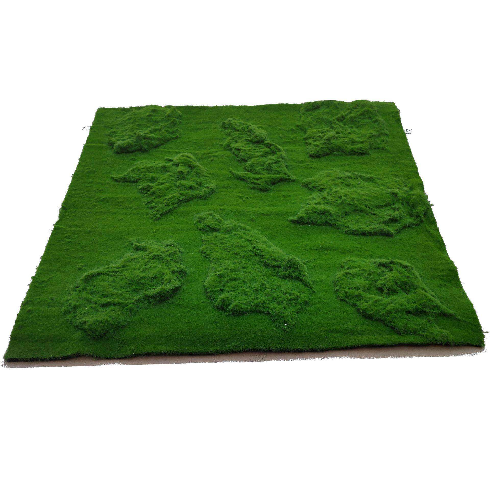 苔藓青苔仿真墙绿化假植物墙铺底术厂家永生植物墙仿真绿植墙,鲜花速递/花卉仿真/绿植园艺,其它园艺用品,淘宝优惠券,粉丝福利购,淘宝优惠卷