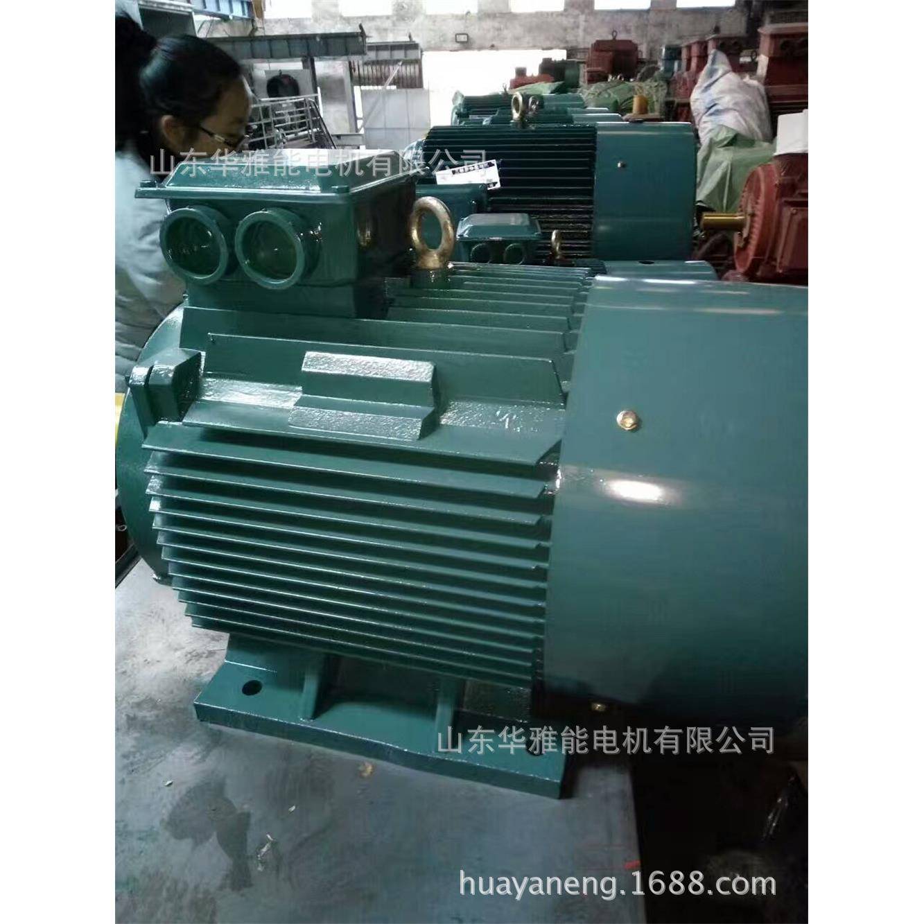 YE2-355L3-4-355KW电机YE2电机端盖整机配件质量国标品质功率足