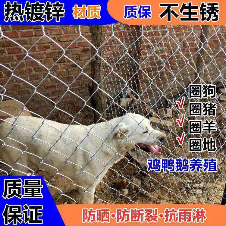 勾花网镀锌养殖勾花网边坡防护网菱形金属网镀锌勾花喷浆挂网,鲜花速递/花卉仿真/绿植园艺,割草机/草坪机,淘宝优惠券,粉丝福利购,淘宝优惠卷