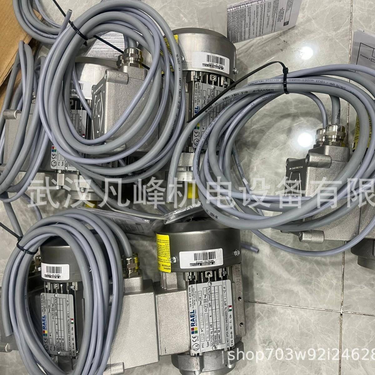 优势供应意大利原装进口RAEL防爆电机RL56B4-IMB14等全系