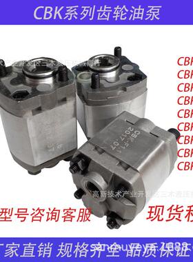 高压齿轮泵电动液压微型油泵CBK-F1.1/F1.6/F2.1/F2.6/F3.2