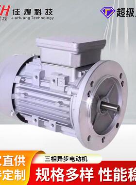 佳煌750W立卧式小型铝壳感应电机电机调速器三相异步电机交流电机