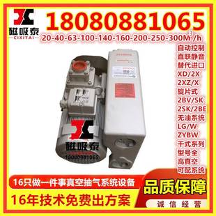 040 202 063 160 302CNC单级旋片真空泵负压站 100 兴义020