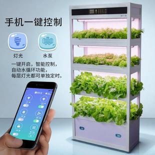 家庭阳台无土栽培设备水培蔬菜植物工厂立体智能种植系统机架柜箱