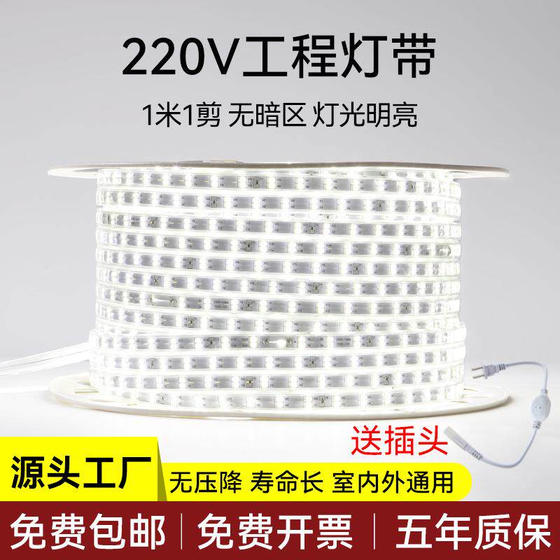 灯带led户外防水高压220v白光吊顶客厅庭院室外工程超亮灯条