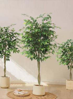 仿真榕树大型室内落地装饰摆件仿生植物白边榕假树植物盆栽