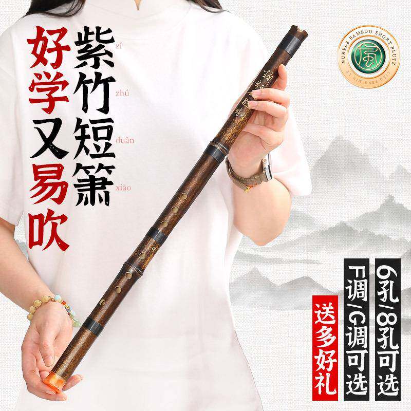 洞箫紫竹短箫初学入门G调F专业古风八8孔六6高档短萧笛潇