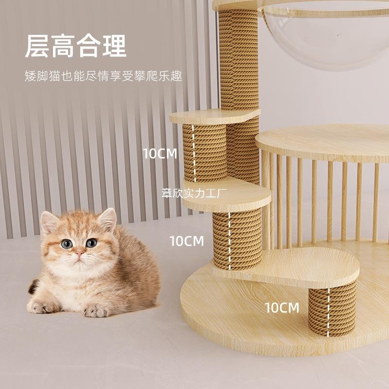 【折扣价】矮脚猫爬架实木小型低层幼猫猫爬架小户型不占地耐磨不