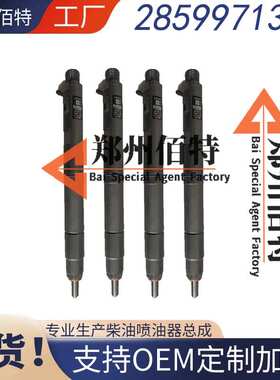 28599713共轨柴油喷油器1100100XED95适用于德尔福 4D20M发动机