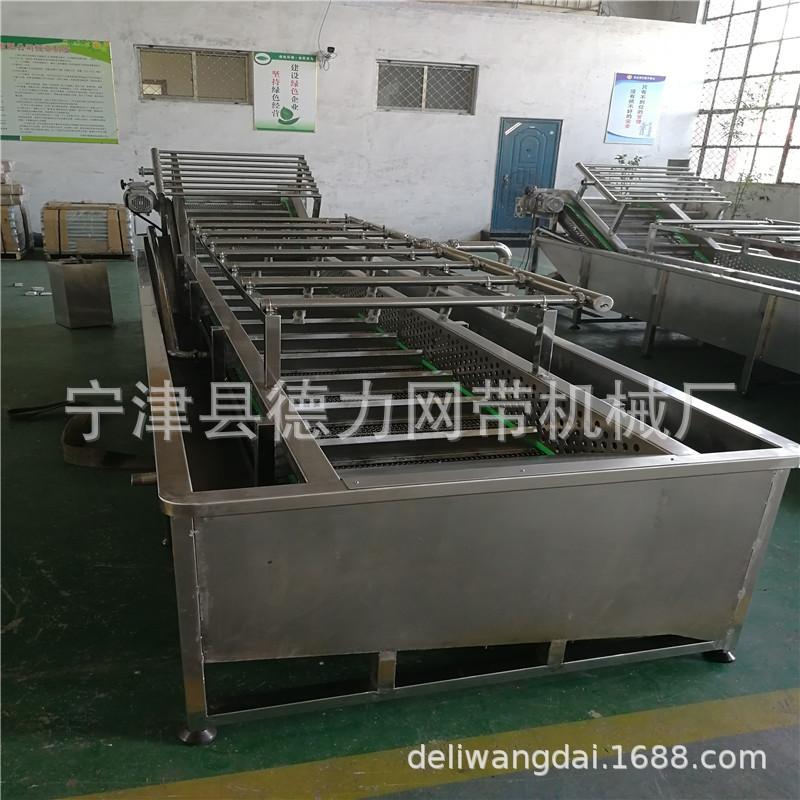蔬果清洗机清洗流水线大枣蔬菜清洗去杂机不锈钢清洗机