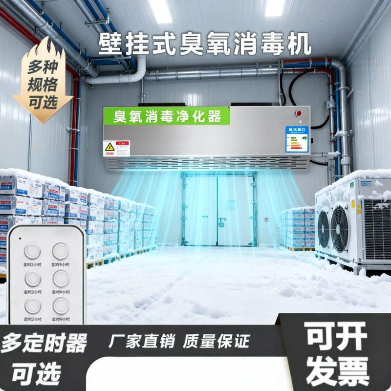 壁挂式医用空气消毒机臭氧紫外线医疗杀菌手术室牙科诊所净化除味