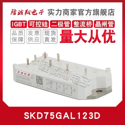 IGBT模块SKD75 100GAL SKM22 25 40 50 75GD101 121 123 124 125D
