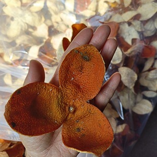 浦北精品大红陈皮落地皮广西浦北大红皮茶枝柑陈皮浦北陈皮精品皮