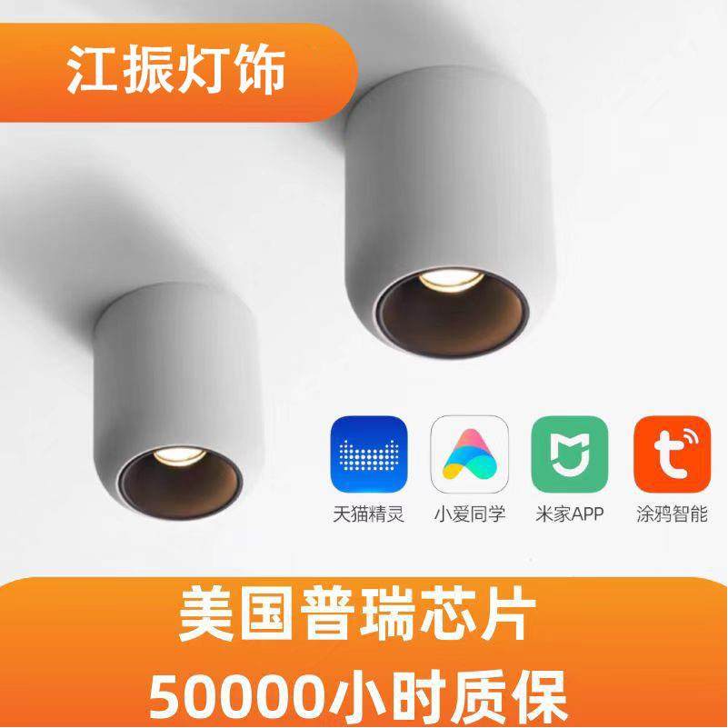 智能圆形明装LED射灯家用客厅卧室走廊吸顶天花筒灯免开孔吸顶灯