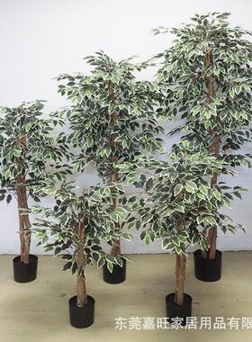 嘉jw084旺工厂直销客欧式风仿真榕仿真盆栽厅室内白边盆景树假绿
