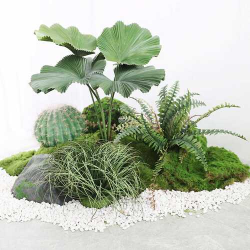 圆叶轴棕榈树盆栽燕舞仿真植物盆景家居室内装饰花工艺品假花