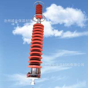 192 281YH10CX 560户外220kv线路型 108 110KV氧化锌避雷器HY10WX