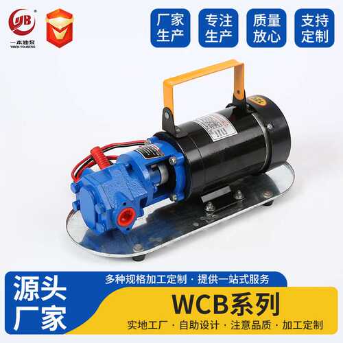 直流齿轮油泵 WCB齿轮油泵 齿轮机油泵 DC Gear Oil Pump  wcb-30