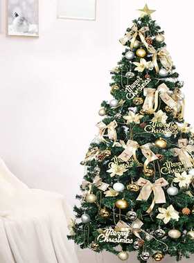 圣诞树套餐摆件圣诞节米圣诞15绿色811大型装饰米加密圣诞家用发
