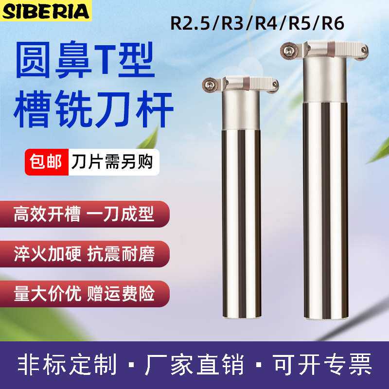厂家直销R2.5R3R4R5R6开槽TMR圆鼻T型槽刀杆机用数控T型槽铣刀杆